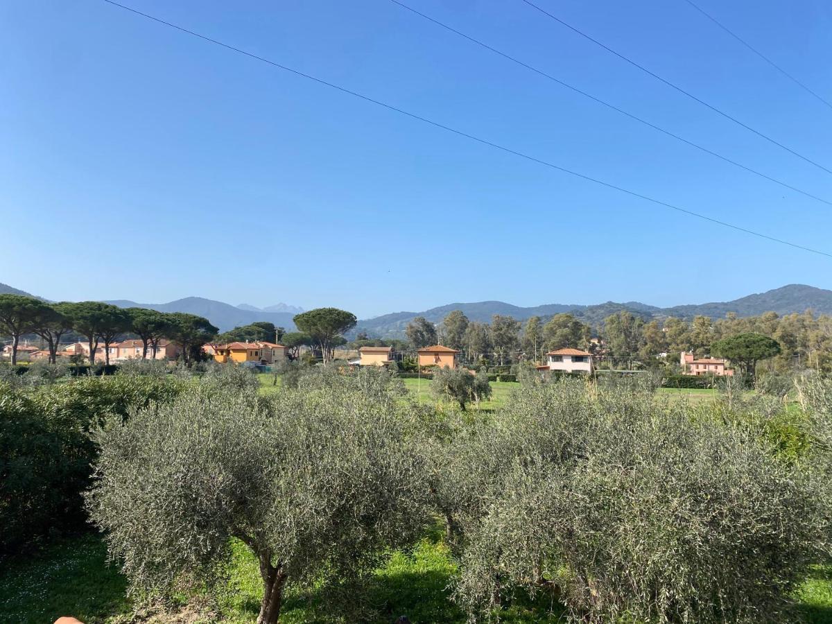 Residence Terme Isola D'Elba Srl Portoferraio Εξωτερικό φωτογραφία