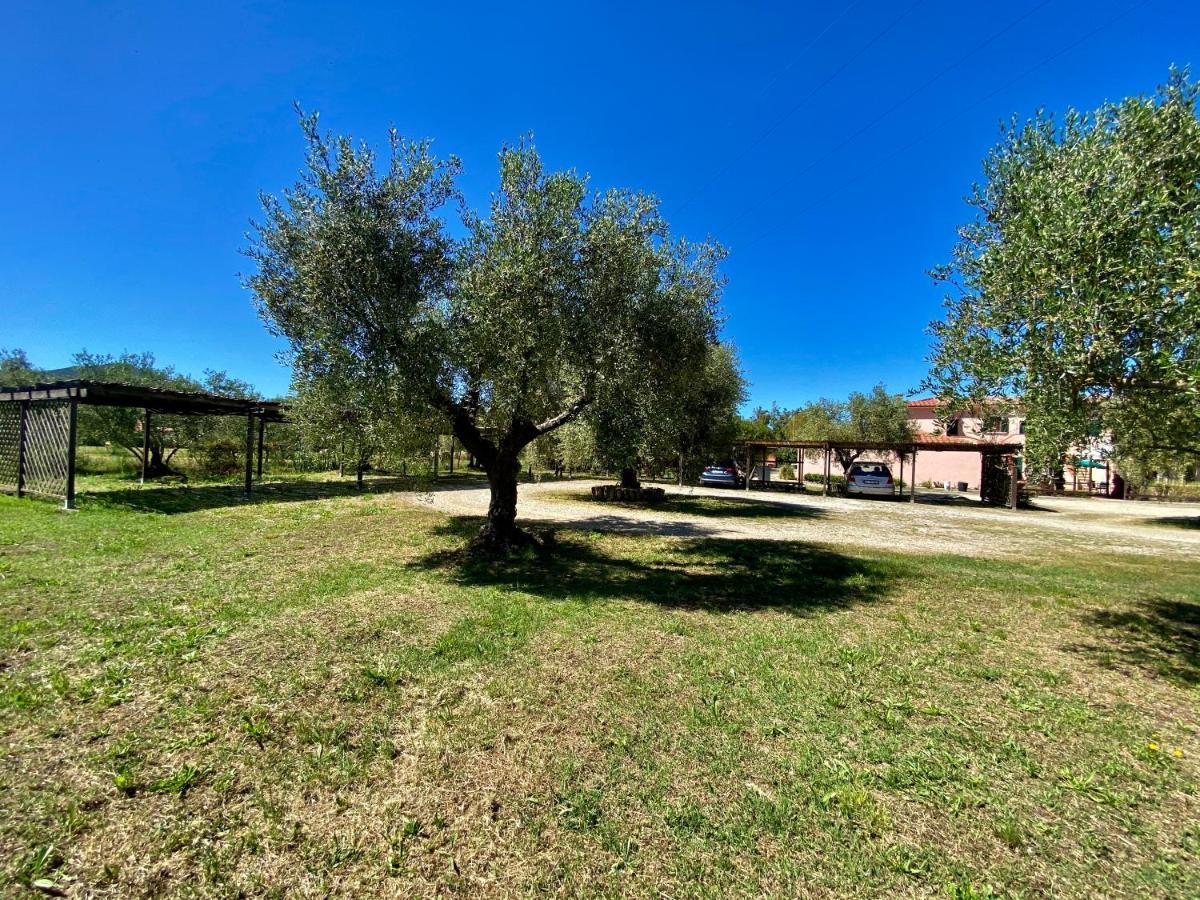 Residence Terme Isola D'Elba Srl Portoferraio Εξωτερικό φωτογραφία