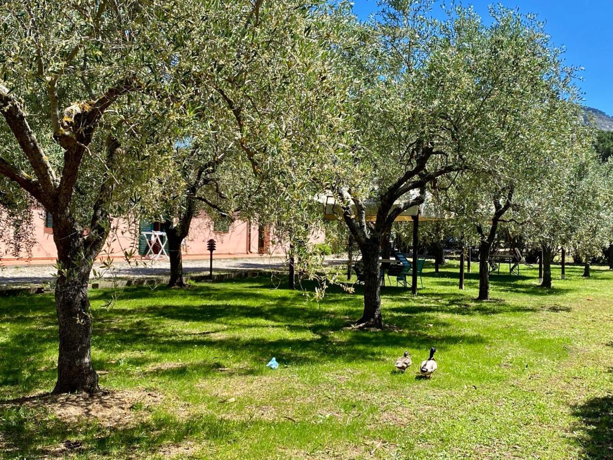 Residence Terme Isola D'Elba Srl Portoferraio Εξωτερικό φωτογραφία