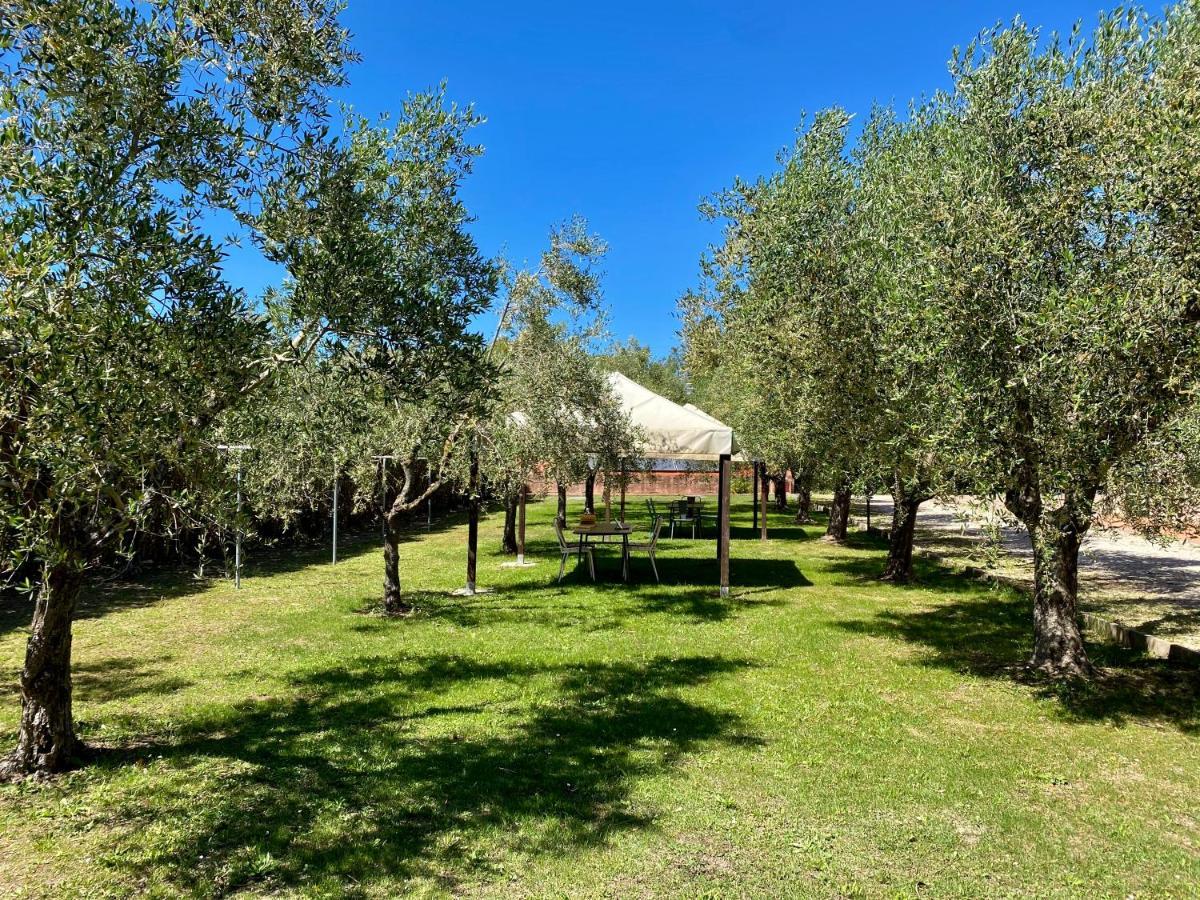 Residence Terme Isola D'Elba Srl Portoferraio Εξωτερικό φωτογραφία